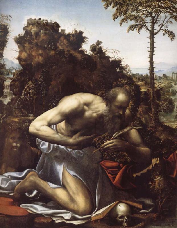 SODOMA, Il Saint Jerome in Penitence China oil painting art